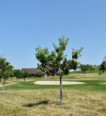 Weniger ist mehr: Wanderung von Gormund nach Rickenbach