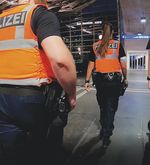 Zur Fahndung ausgeschriebener Mann verletzt Luzerner Polizisten