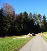 Waldstrasse auf dem Sonnenberg wird komplett gesperrt
