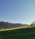 Ein Tag im Leben der Familie Estermann auf dem Hof Liebergott