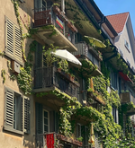Stadt Luzern fördert Biodiversität im privaten Raum