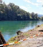Die Biber sind da: So geht der Kanton Luzern damit um