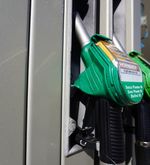 Bei den Grünen herrscht Freude über Benzinpreis-Explosion
