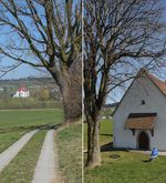 Kapellenweg in Luzern soll zum Erlebnispfad werden