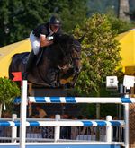 Pferdesportverband sperrt Paul Estermann für sieben Jahre