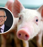 Leo Müller sorgt sich um die Luzerner Schweine