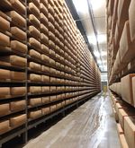 Zuger Käserei verkauft noch immer Produkte nach Russland