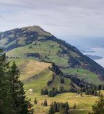 Neuer Forstweg auf der Rigi: Projekt hinterlässt Fragen