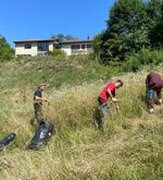 Meggerwald: Eine Naturperle ist in Gefahr