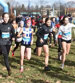Neuer Teilnehmerrekord am 7. Lozärner Cross