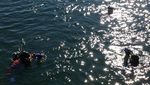 Einsatzkräfte suchen vermisste Person im Zugersee