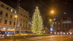 Grösster Weihnachtsbaum der Stadt Luzern leuchtet wieder