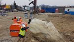 Bauarbeiter finden in Luzern 40 Millionen Jahre alten Findling