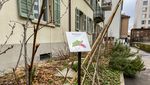 Bitte pflücken: Naschgärten breiten sich in Luzern aus