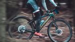 Die Bike-Trails im Bireggwald kommen 2023