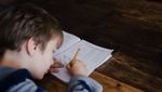 Radikaler Vorschlag für Luzerns Schulen
