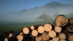 Luzerner Bauern profitieren von steigenden Holzpreisen
