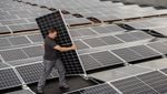In Rotkreuz entsteht grösste Zuger Solaranlage