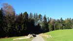 Waldstrasse auf dem Sonnenberg wird komplett gesperrt