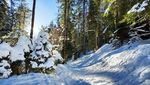 Wenig bekannte Rundtour vom Raten auf den Gottschalkenberg