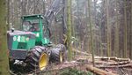 So will Kanton Luzern Holz nachhaltig nutzen
