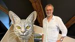In Luzern wird die Katze zum Museum-Star