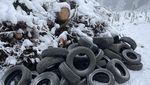 Unbekannte entsorgen 35 gebrauchte Autopneus im Wald