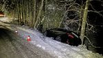 Schlitterfahrt vom Hergiswald Richtung Obernau
