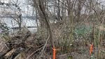 Dem Zugersee entlang vom Strandbad zum Hafen – dank Steg