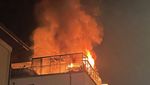Acht Katzen sterben bei Wohnungsbrand in Hitzkirch