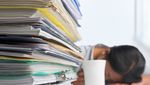 Luzerner Kesb schlagen wegen Arbeitslast Alarm