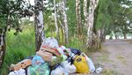 Teure Entsorgungsaktion: Mann macht Wald zur Abfalldeponie