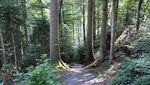 Dieser Wanderweg ist wieder offen