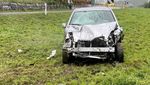 Auto fährt in Kuhherde – zwei Tiere tot