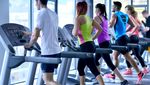 «Geht um mehr als Muskeln» – Fitnesscenter im Höhenflug