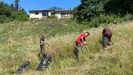 Meggerwald: Eine Naturperle ist in Gefahr
