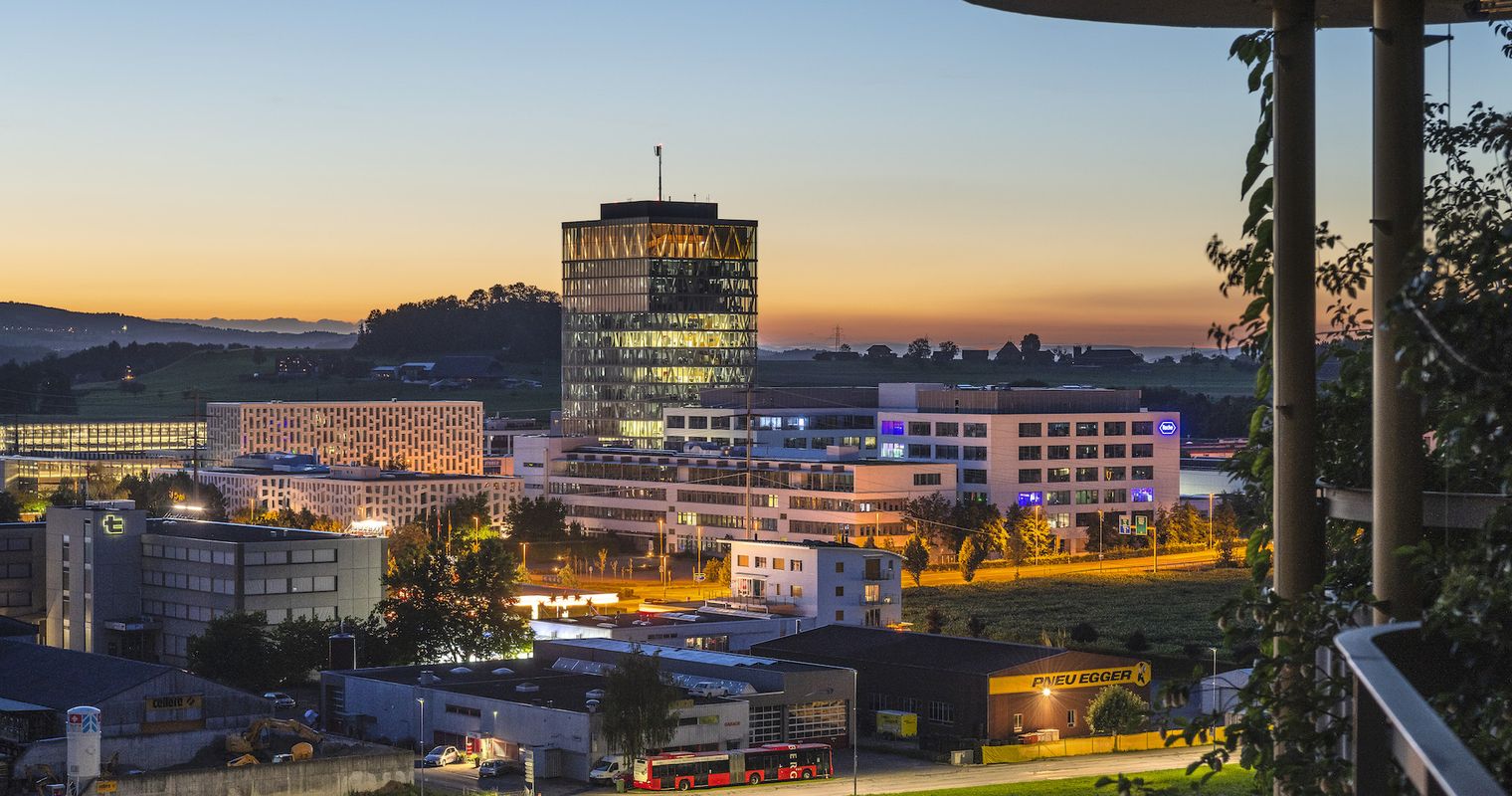 Arbeitgeber, Sorgen, Herkunft – Zug und Expats in Zahlen