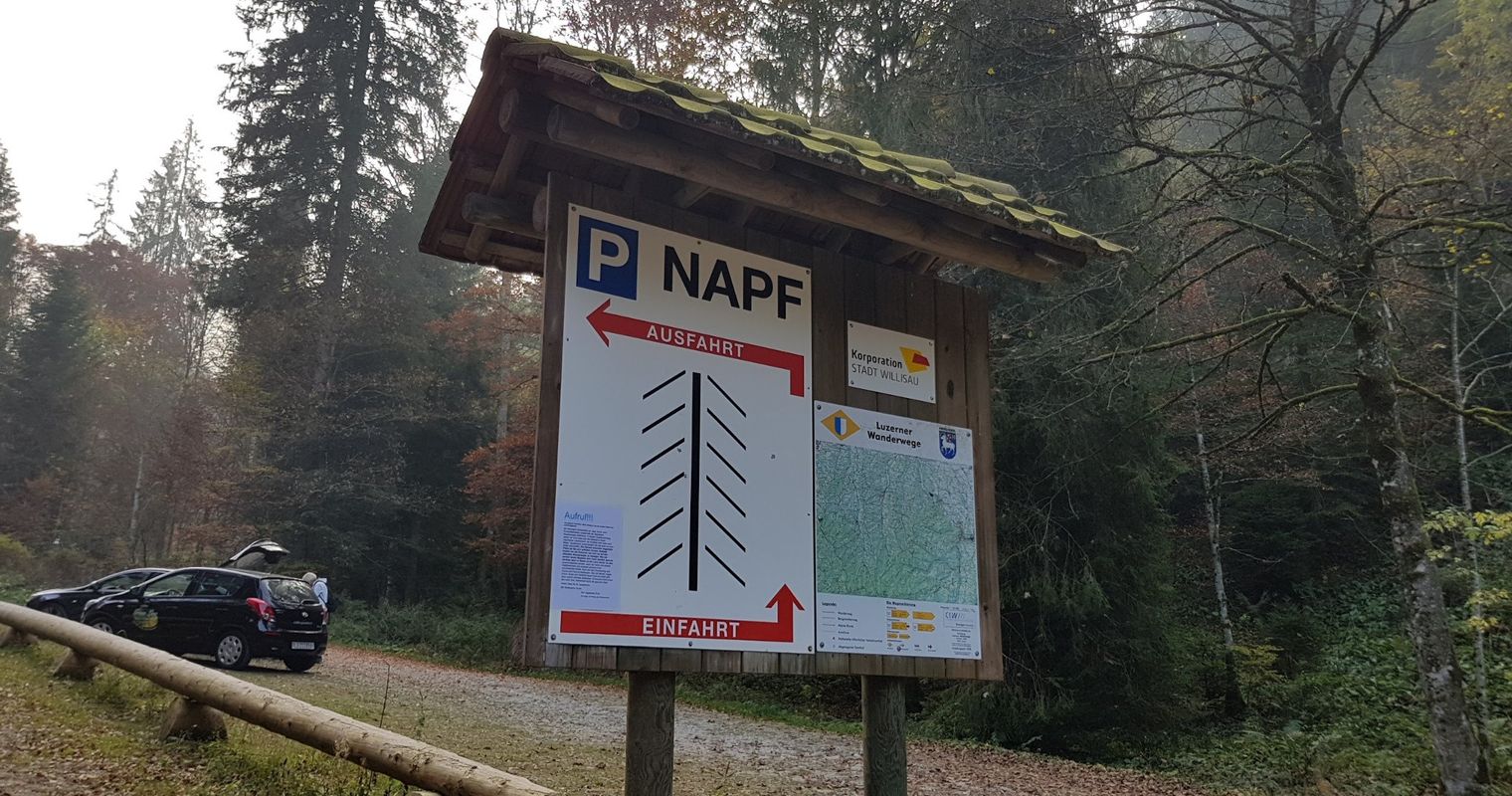 So sehr kämpft die Biosphäre mit Autos und Töffs 