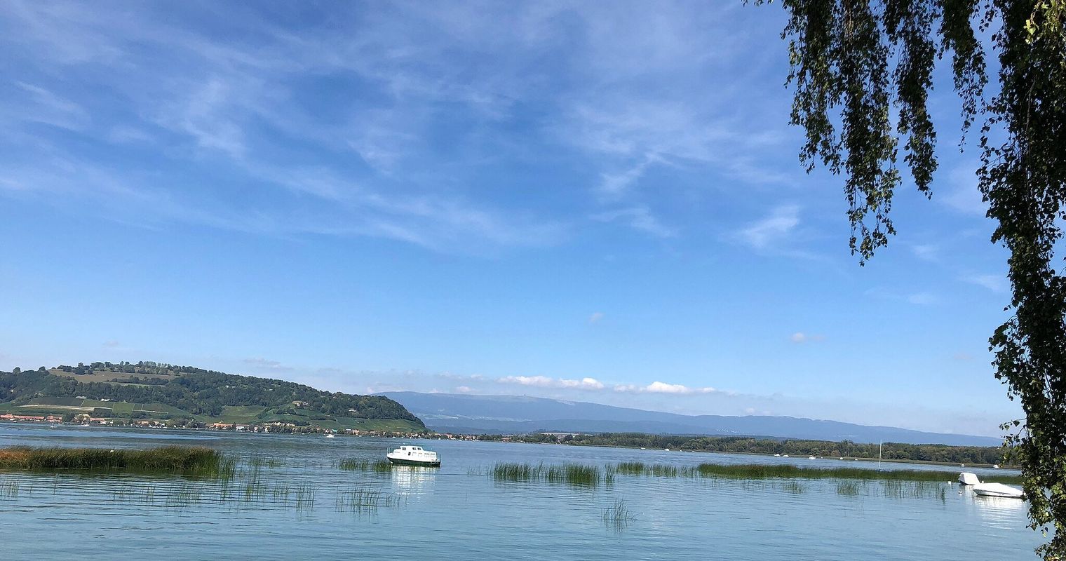 Luzernerin stirbt nach Schwumm im Murtensee