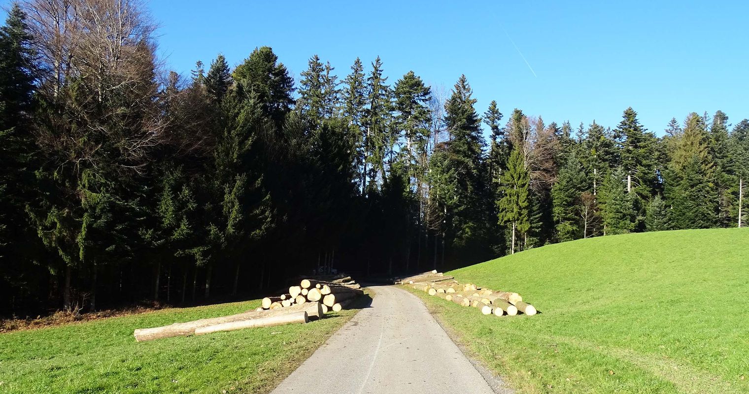 Waldstrasse auf dem Sonnenberg wird komplett gesperrt