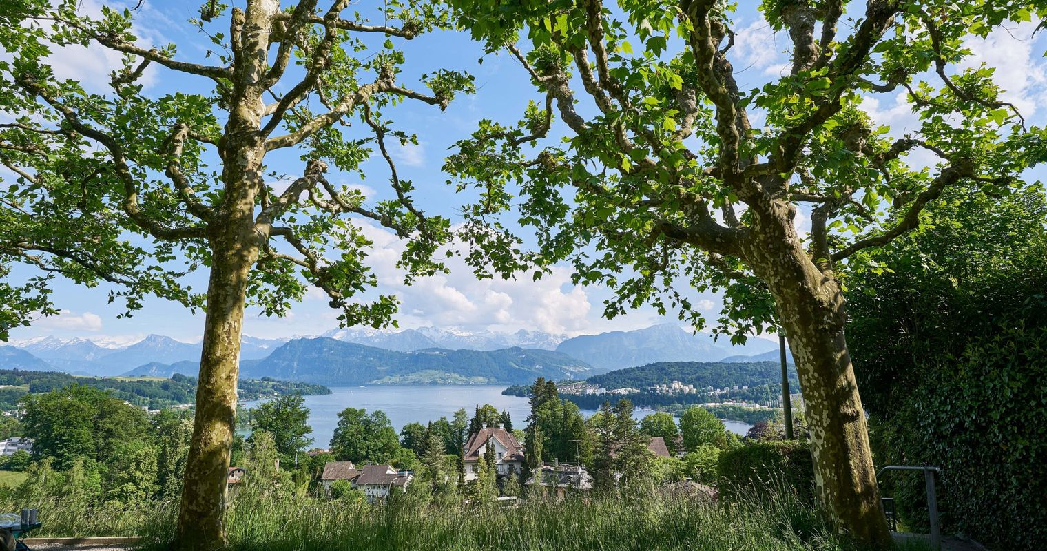 Luzern braucht mehr Angestellte für Pflege von Grünflächen