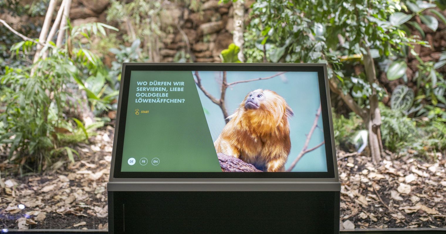 Gratis in den Zoo? Für Zuger und Luzerner passé