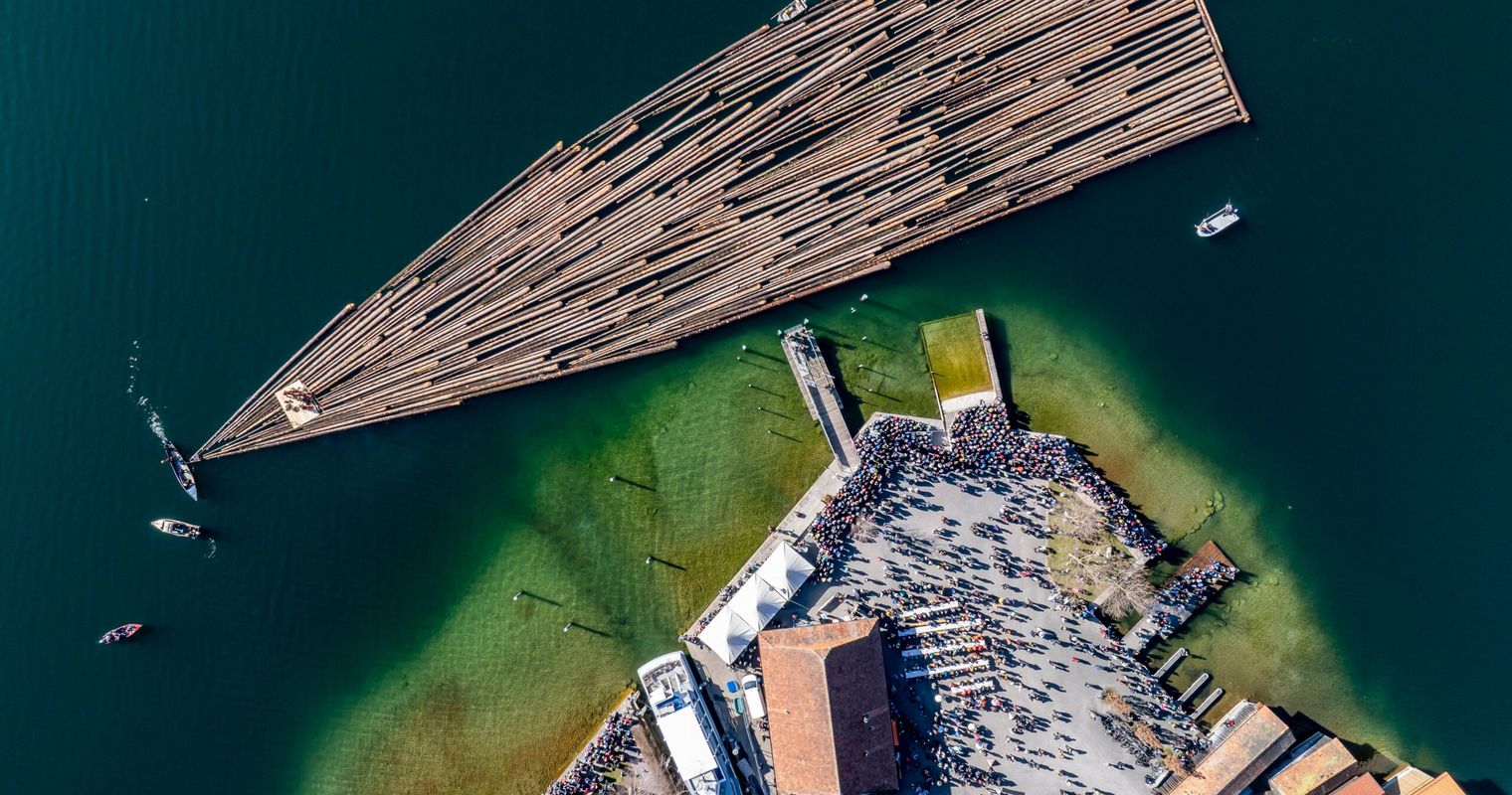 Dutzende Baumstämme schwimmen auf dem Ägerisee