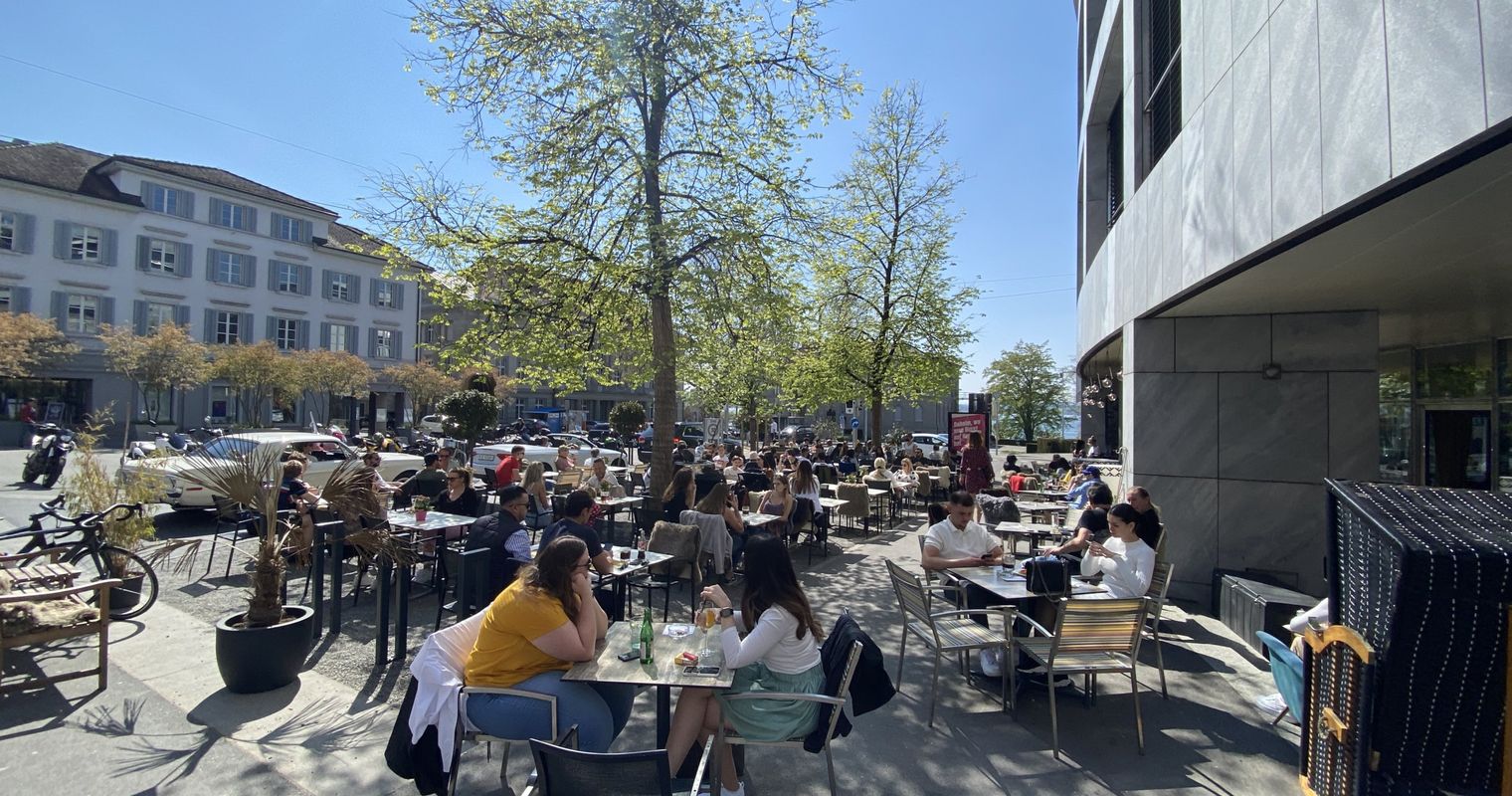 Darum fällt die Stadt Zug diese 37 Bäume
