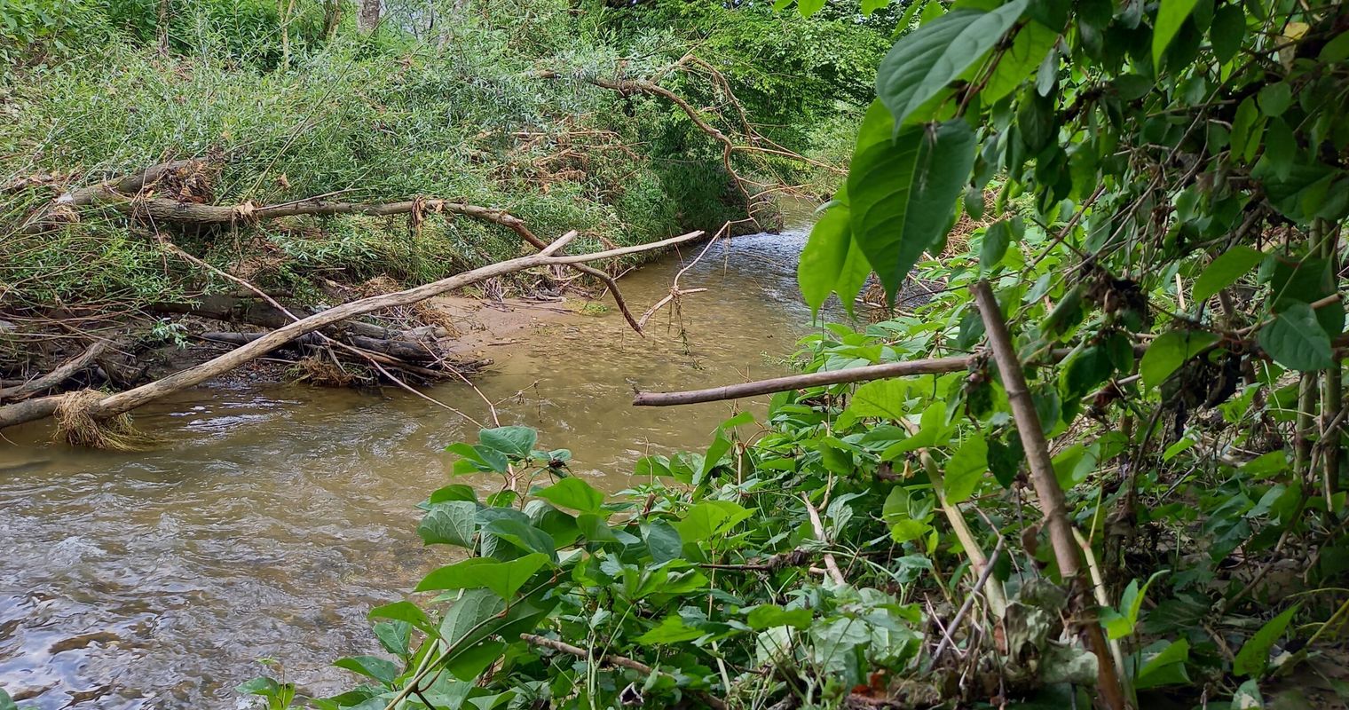 Regierungsrat verbessert Hochwasserschutz am Rotbach