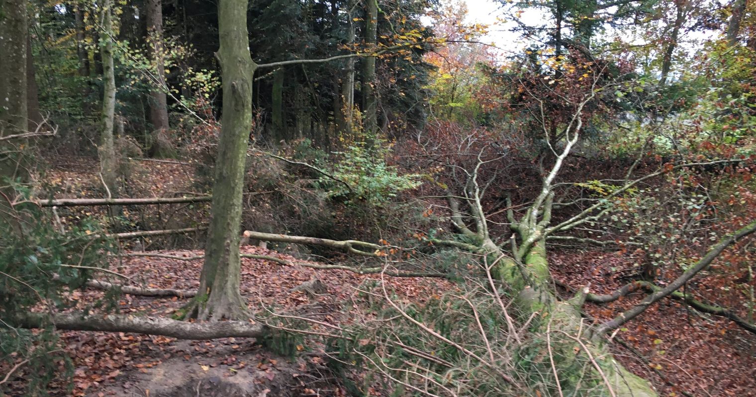 Nach Schliessung: Zuger Biker stecken in Zwickmühle