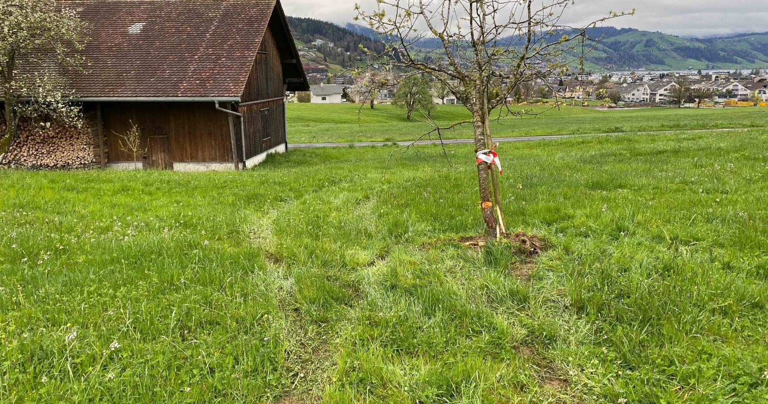 Blaulicht ignoriert – dann flüchtet er übers Feld