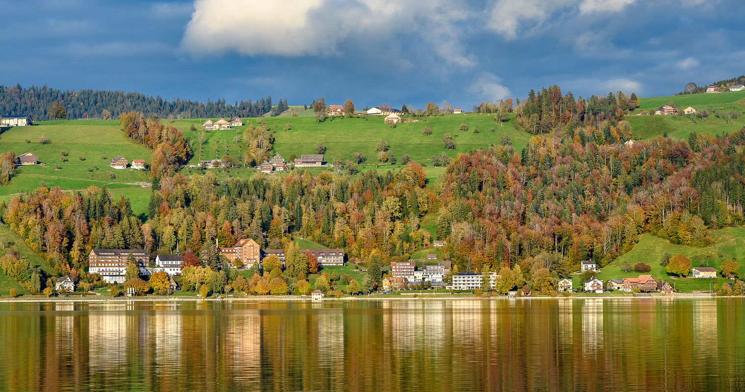 Zug verschärft Massnahmen gegen Quaggamuschel