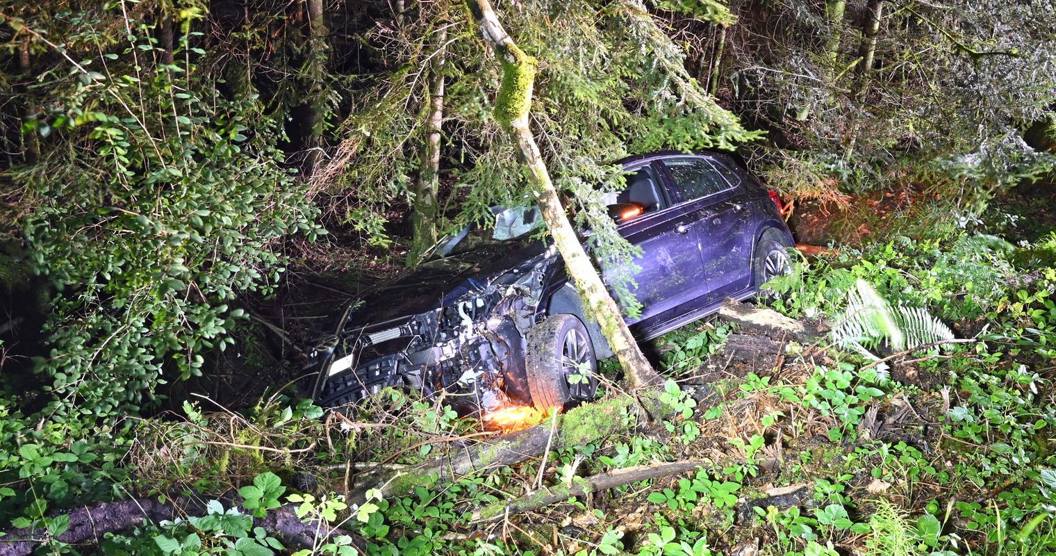 Auto kommt von Strasse ab und kollidiert mit Baum