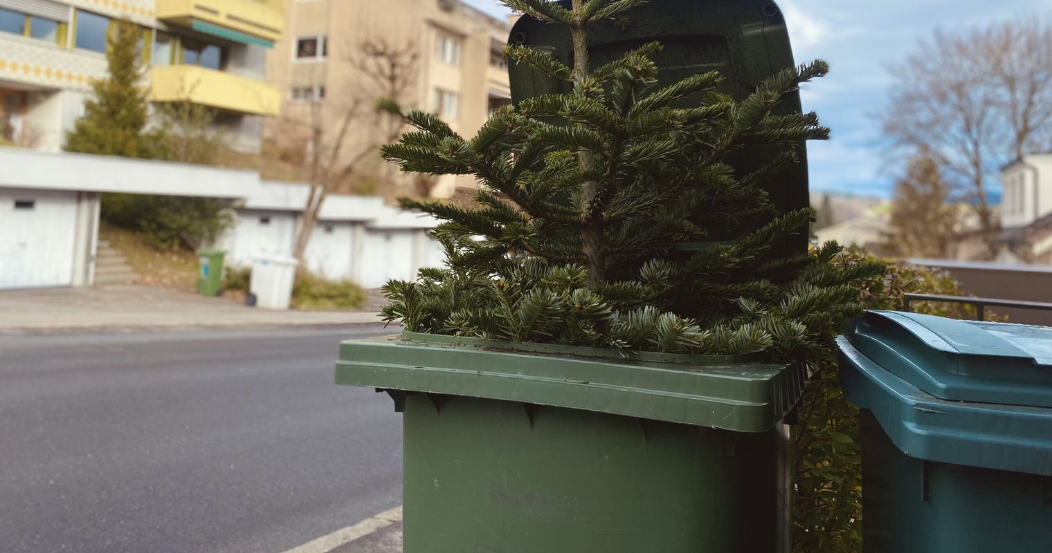 So entsorgst du deinen Weihnachtsbaum in Zug und Luzern
